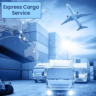 Express Cargo Carriers Pvt Ltd – shipping.deodap.com